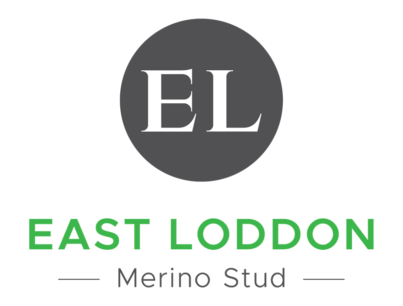 East Loddon Merino Stud