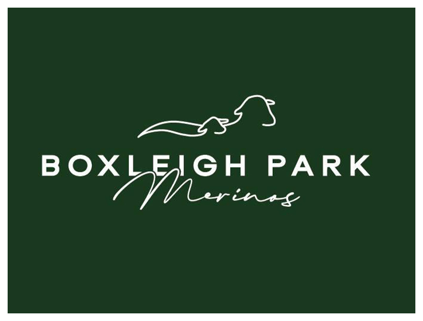 Boxleigh Park Merinos