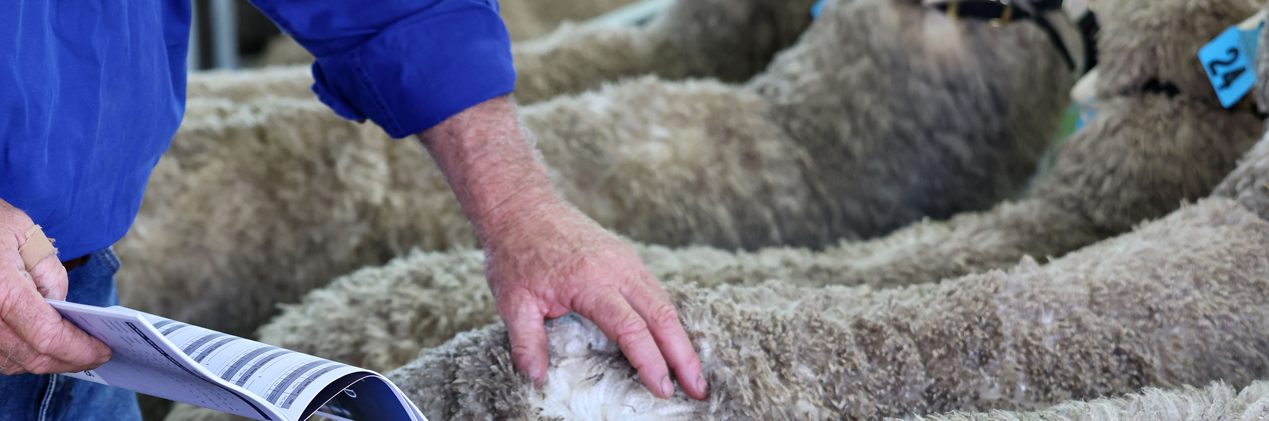 SRS Genetics-The SRS Index trait